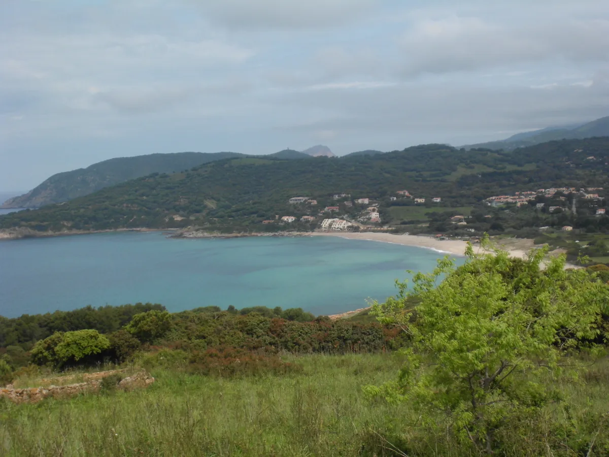 Korsische Küstenbucht mit Sandstrand und bewaldeten Hügeln