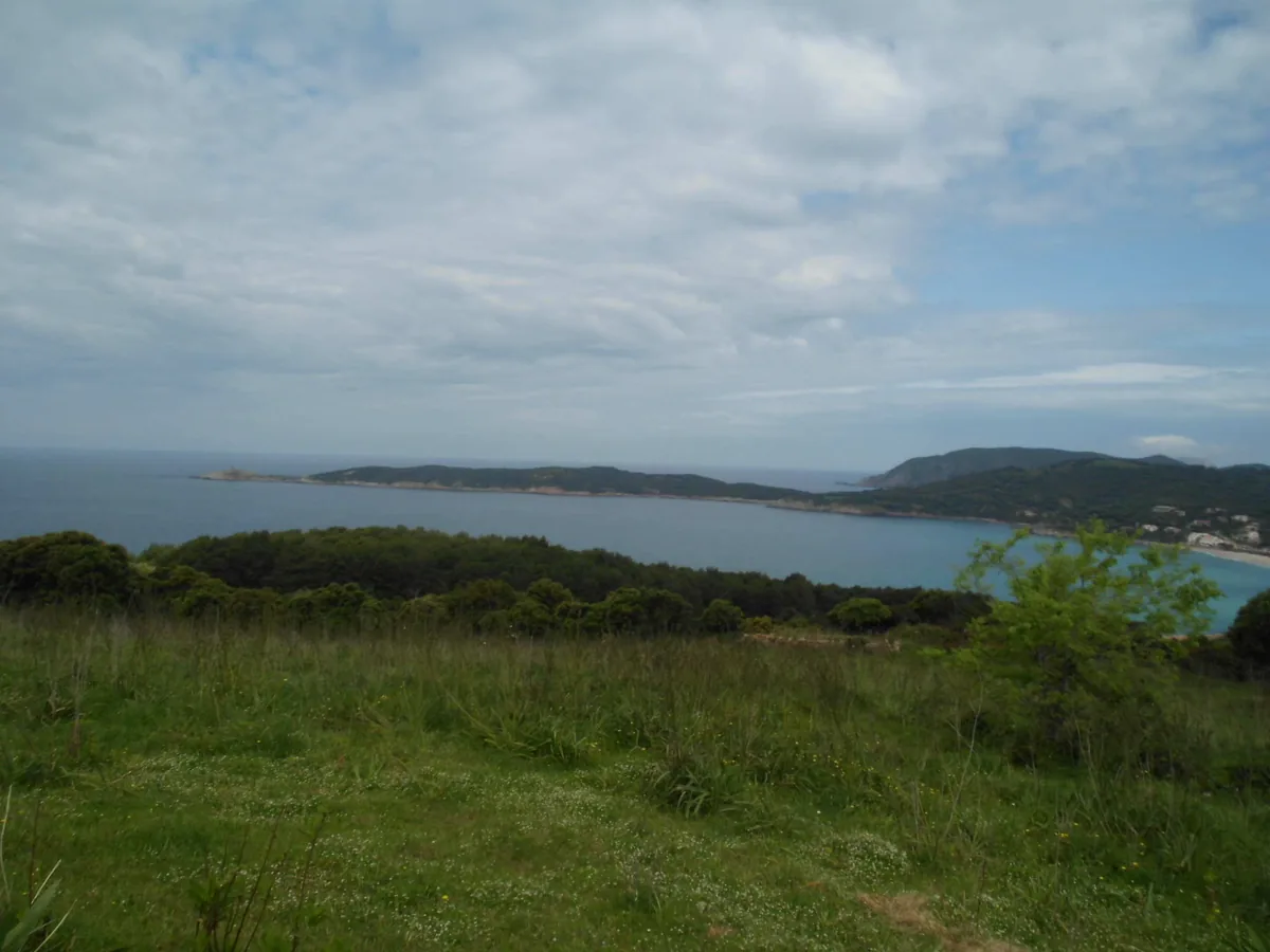 Bucht auf Korsika mit Strand und Häusern an der Küste